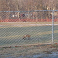 IMG 2759